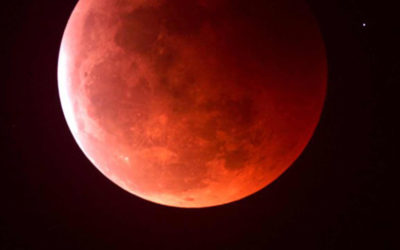 LADEE Survives ‘Blood Moon’