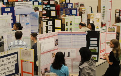 7th Grader Receives PISCES Award at 2018 Hawaii Science & Engineering Fair