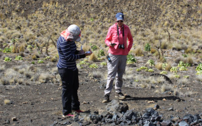 Pathway to Success: 2018 Summer Internship Program