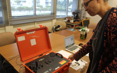 X-rays Reveal Hidden Properties of Hawaiian Basalt